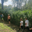 You are viewing the image with filename 1.jpg - Каменский техникум