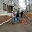You are viewing the image with filename 1.jpg - Каменский техникум