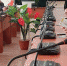 You are viewing the image with filename 1.jpg - Каменский техникум