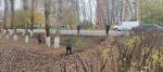 You are viewing the image with filename 3.jpg