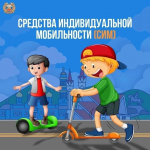Мониторинг СИМ