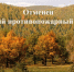 Особый противопожарный режим отменен - Администрация Каменского района