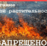 Бесконтрольное сжигание сухой растительности недопустимо - Администрация Каменского района
