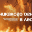 Останови огонь – не сжигай сухую траву - Администрация Каменского района