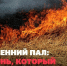 Из-за весенних палов растёт риск пожаров - Администрация Каменского района